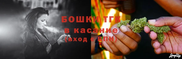 тгк Абинск