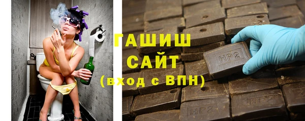 apvp Алзамай