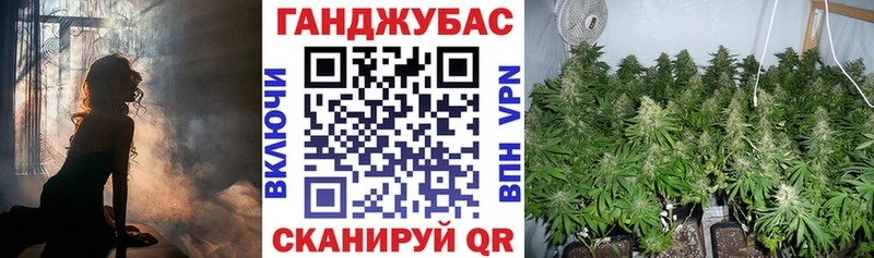 Каннабис ГИДРОПОН  Талдом 